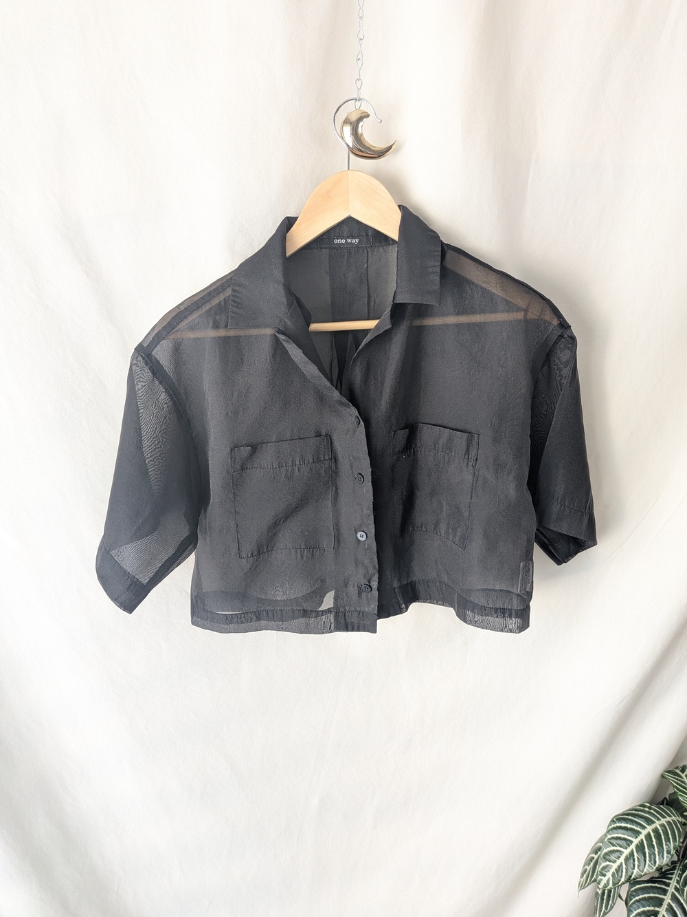 Black Sheer Cropped Button Up Blouse